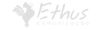 Ethus Comunicação