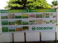 Banners e Lonas